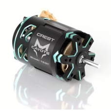 CAYOTE Crest Stock 17.5T Brushless Motor CAYOTE Crest Stock 17.5T Brushless Motor